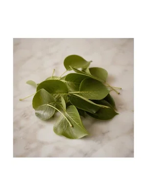 Pear Leaf