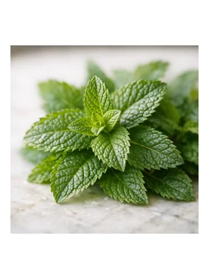 Peppermint