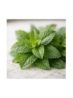 Peppermint