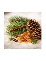 Pine