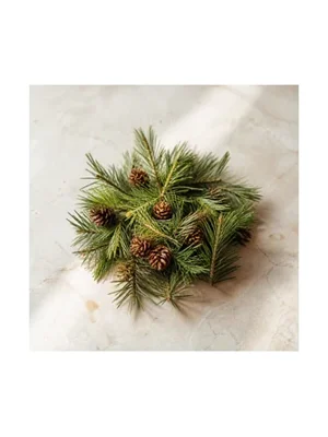 Pine Balsam