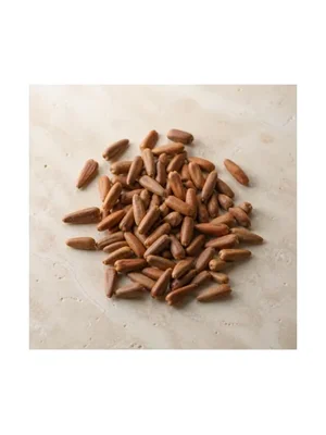 Pine Nut