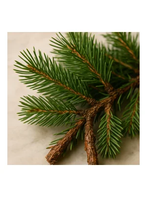 Pine Tree