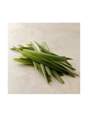 Pineapple Leaf