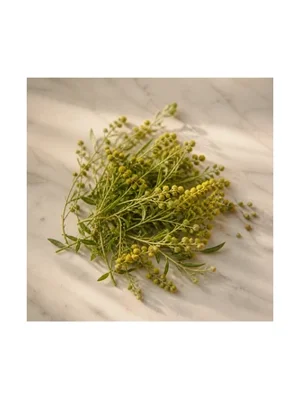 Pineappleweed