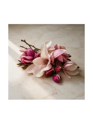 Pink Magnolia