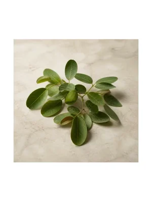 Pistachio Leaf
