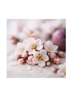 Plum Blossom