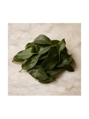 Plum Leaf