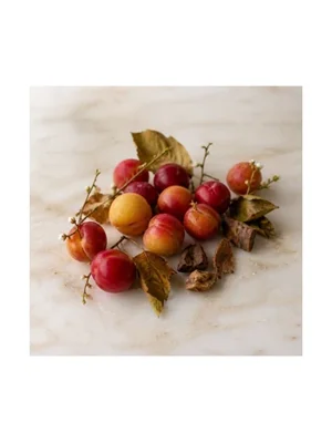 Plum Wine