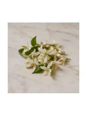 Pomelo Blossom