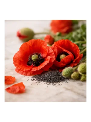 Poppy