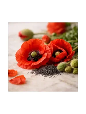 Poppy