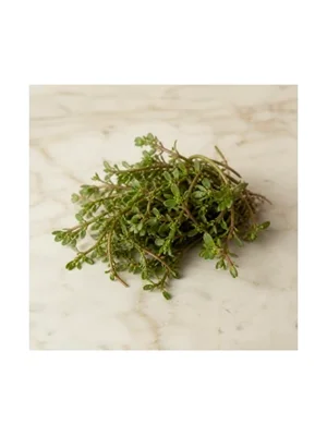 Portulaca or Pigweed