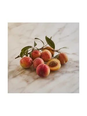 Quandong Desert Peach
