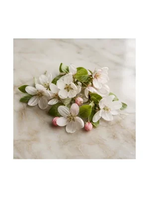 Quince Flower