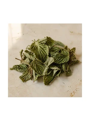 Raspberry Leaf
