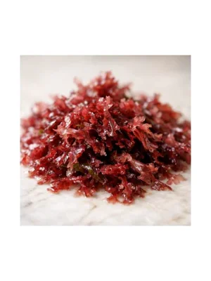 Red Algae