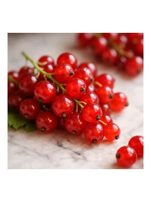 Red Currant