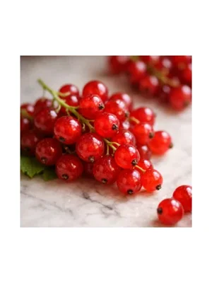 Red Currant