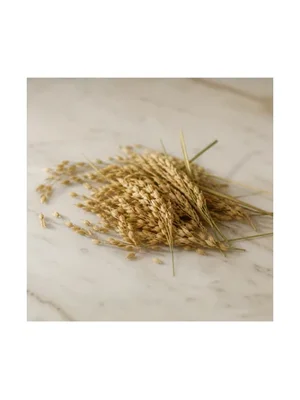 Rice Steam