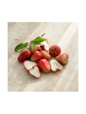 Rose Apple