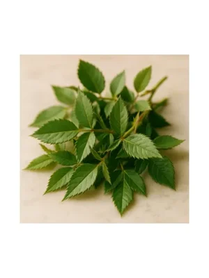 Rose Leaves