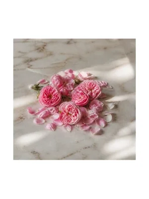 Rose Milk