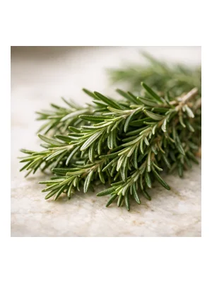 Rosemary
