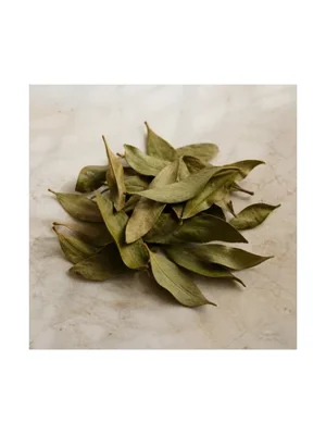 Rosewood Leaf