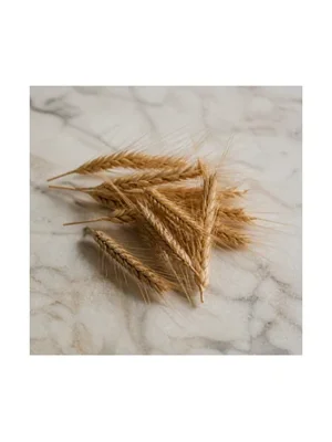 Rye