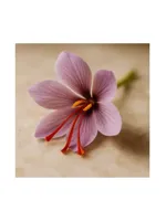 Saffron Blossom
