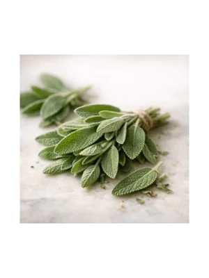 Sage