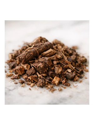 Sarsaparilla