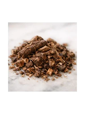 Sarsaparilla