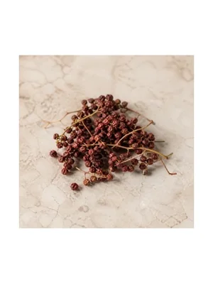 Schisandra