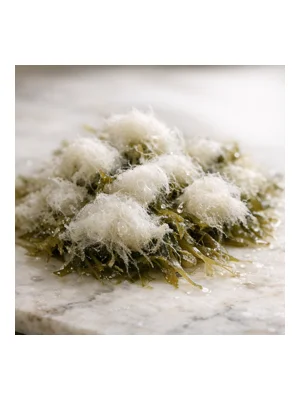 Sea Cotton