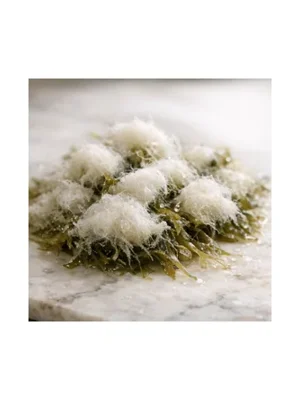 Sea Cotton