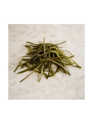 Seagrass