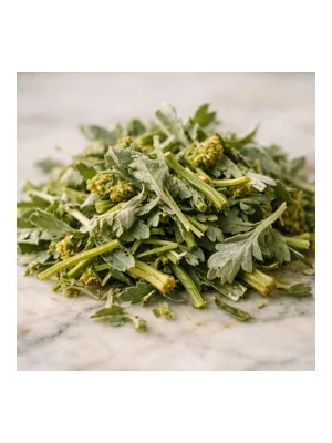 Senecio