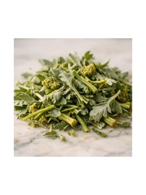 Senecio
