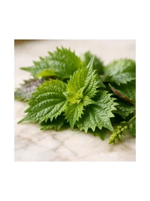 Shiso
