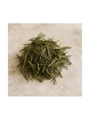 Siberian Stone Pine Needle