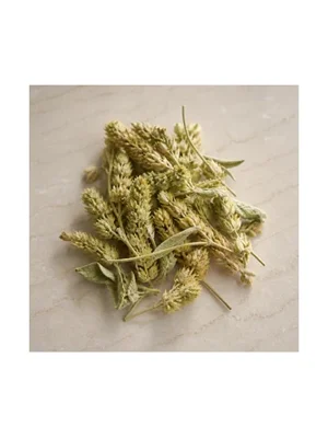 Sideritis Mountain Tea