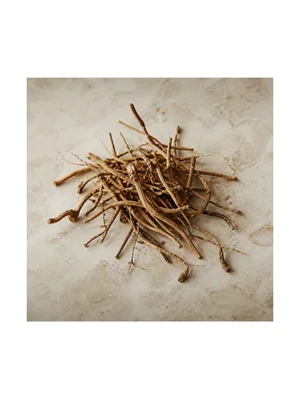 Silk Vine or Milk Broom