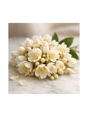 Silkwood Blossom