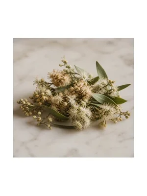 Silkwood Blossom