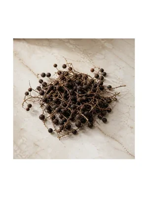 Smilax