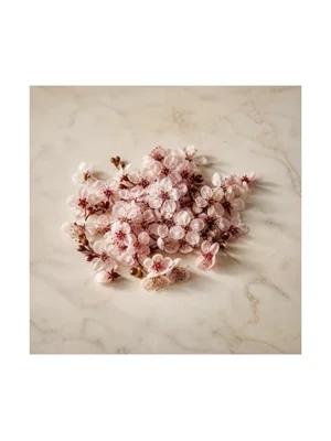 Sour Cherry Blossom