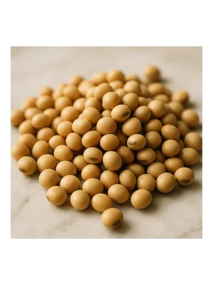 Soybean
